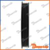 Poulie damper vilebrequin pour CITROEN | RKP-CT-005, 02958
